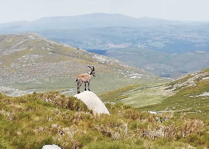 Refugio Perdigones Séjour à la campagne